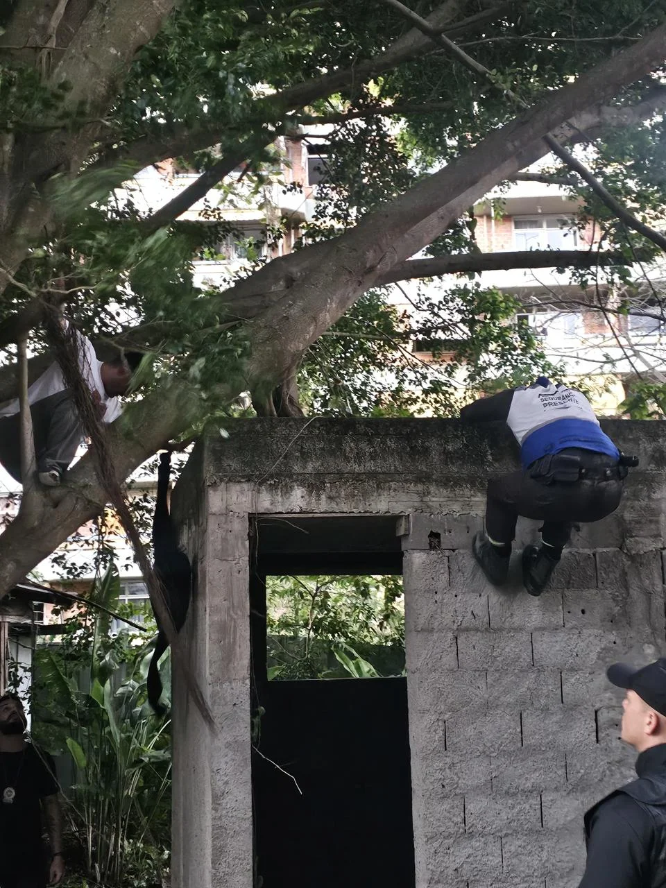 Imagem Principal