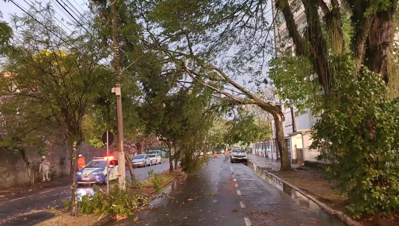Imagem Principal